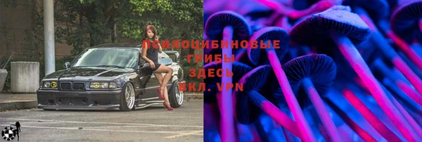 МДПВ Абдулино