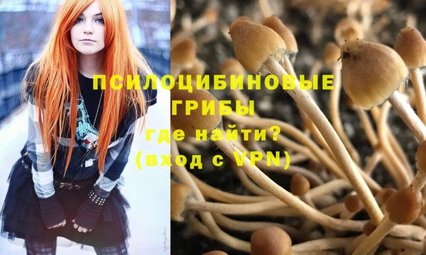МДПВ Абдулино