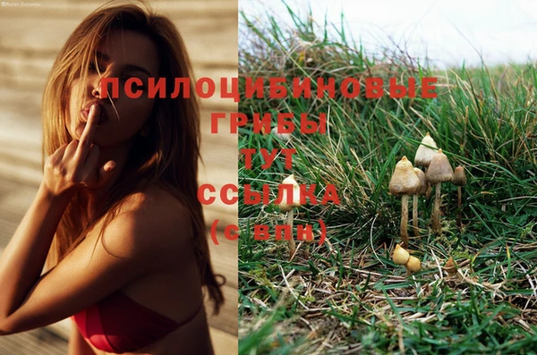 дурь Абинск