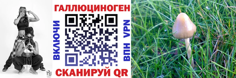 Галлюциногенные грибы Psilocybine cubensis  Воронеж 